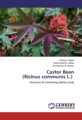 Castor Bean (Ricinus communis L.)