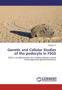 Genetic and Cellular Studies of the podocyte in FSGS