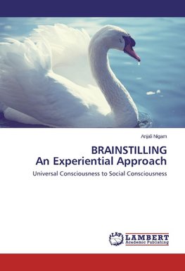 BRAINSTILLING An Experiential Approach