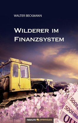 Wilderer im Finanzsystem