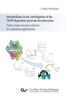 Intermediates in the carboligation of the ThDP-dependent pyruvate decarboxylase