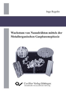 Wachstum von Nanodrähten mittels der Metallorganischen Gasphasenepitaxie