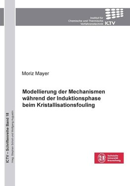 Modellierung der Mechanismen während der Induktionsphase beim Kristallisationsfouling