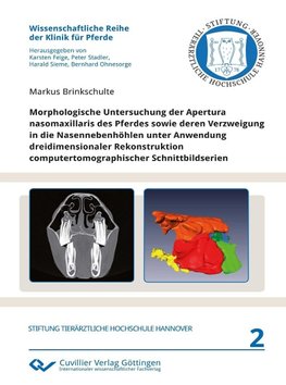 Morphologische Untersuchung der Apertura  nasomaxillaris des Pferdes sowie deren Verzweigung  in die Nasennebenhöhlen unter Anwendung  dreidimensionaler Rekonstruktion  computertomographischer Schnittbildserien