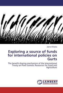 Exploring a source of funds for international policies on Gurts