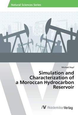 Simulation and Characterization of a Moroccan Hydrocarbon Reservoir