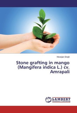 Stone grafting in mango (Mangifera indica L.) cv. Amrapali