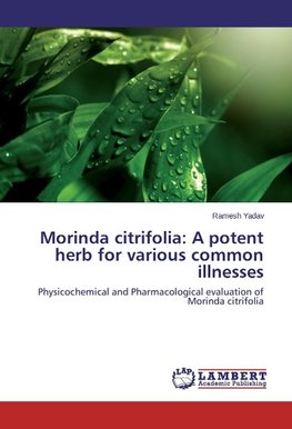 Morinda citrifolia: A potent herb for various common illnesses