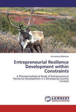 Entrepreneurial Resilience Development within Constraints