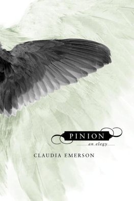 Pinion