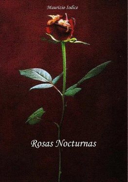 Rosas Nocturnas