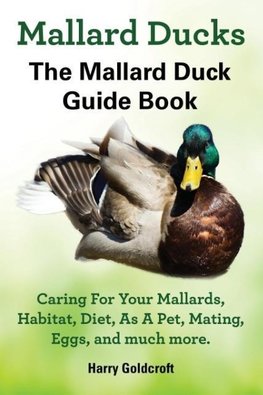 Mallard Ducks