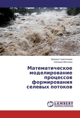 Matematicheskoe modelirovanie processov formirovaniya selevyh potokov