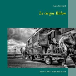 Le cirque Bidon 2015