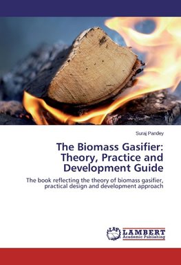 The Biomass Gasifier: Theory, Practice and Development Guide