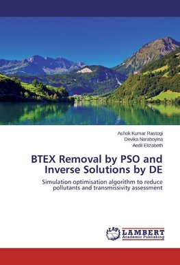 BTEX Removal by PSO and Inverse Solutions by DE