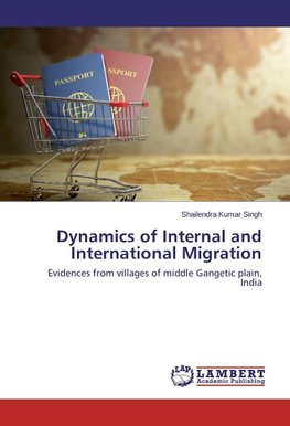 Dynamics of Internal and International Migration