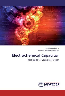 Electrochemical Capacitor