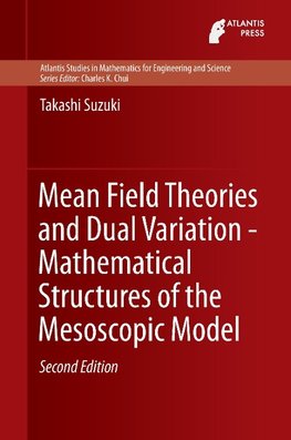 Mean Field Theories and Dual Variation - Mathematical Structures of the Mesoscopic Model