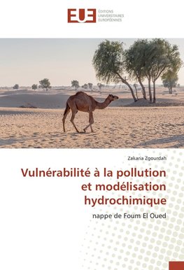 Vulnérabilité à la pollution et modélisation hydrochimique