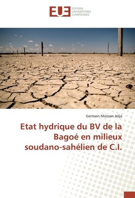 Etat hydrique du BV de la Bagoé en milieux soudano-sahélien de C.I.