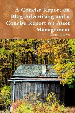 A Concise Report on Blog Advertising and a Concise Report on Asset Management