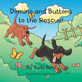 Domino and Buttons to the Rescue!