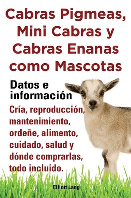 Cabras Pigmeas, Mini Cabras y Cabras Enanas Como Mascota. Datos E Informacion. Cria, Reprodu