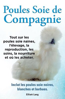 Poules soie de compagnie. Tout sur les Poules soie naines, l'élevage, la reproduction, les soins, la nourriture et où les acheter. Inclut les Poules soie noires, blanches et barbues.