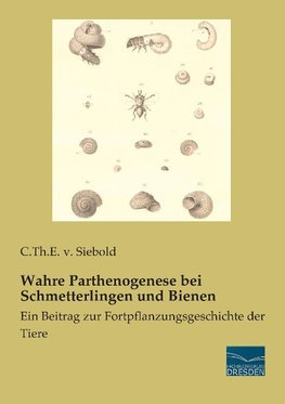 Wahre Parthenogenese bei Schmetterlingen und Bienen