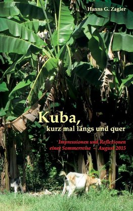 Kuba, kurz mal längs und quer