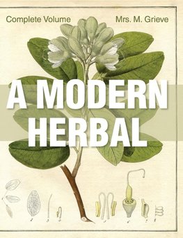 Grieve, M: Modern Herbal