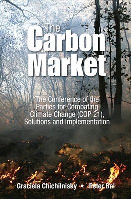 Reversing Climate Change: How Carbon Removals Can Resolve Climate Change and Fix the Economy