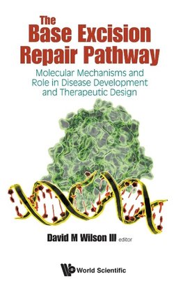 The Base Excision Repair Pathway