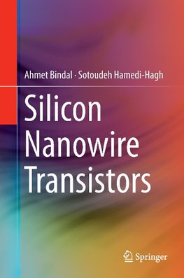 Silicon Nanowire Transistors