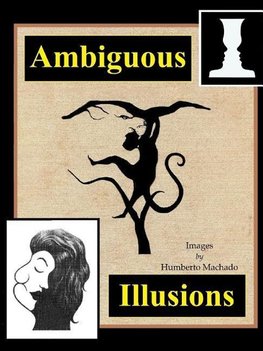 Ambiguous Illusions