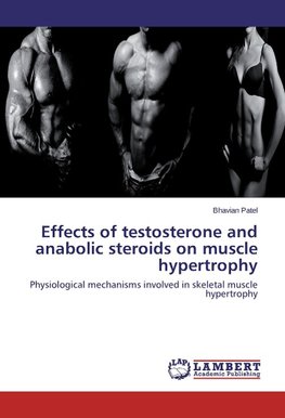 Effects of testosterone and anabolic steroids on muscle hypertrophy