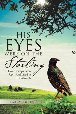 His Eyes Were on the Starling