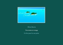 Une tortue en voyage