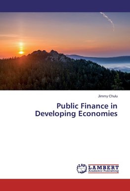 Public Finance in Developing Economies