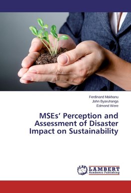 MSEs' Perception and Assessment of Disaster Impact on Sustainability