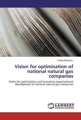 Vision for optimisation of national natural gas companies