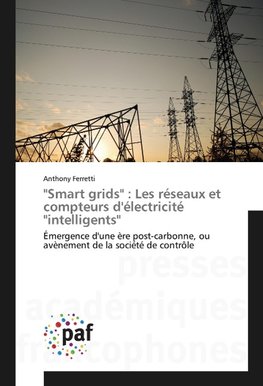 "Smart grids" : Les réseaux et compteurs d'électricité "intelligents"