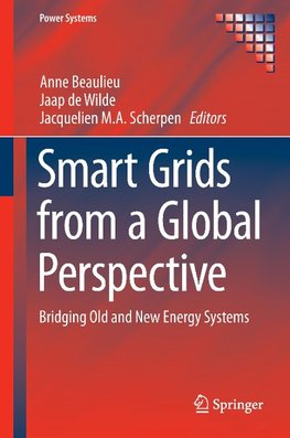 Smart Grids from a Global Perspective