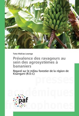 Prévalence des ravageurs au sein des agrosystèmes à bananiers