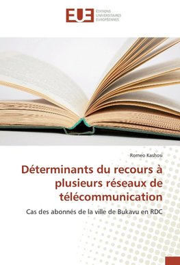 Déterminants du recours à plusieurs réseaux de télécommunication