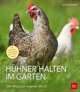 Hühner halten im Garten