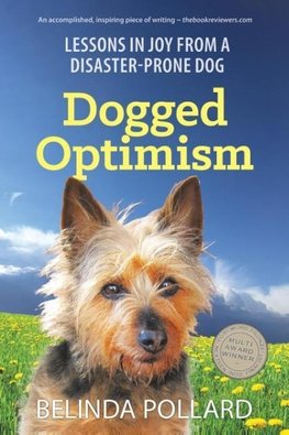 Dogged Optimism