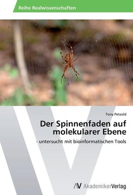 Der Spinnenfaden auf molekularer Ebene