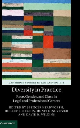 Diversity in Practice